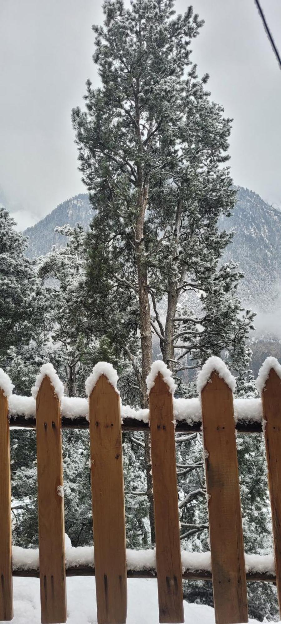 Rudra Homestays Kalpa Buitenkant foto